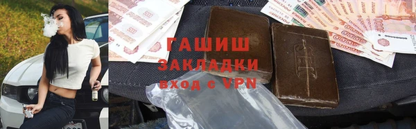 шишки Инта