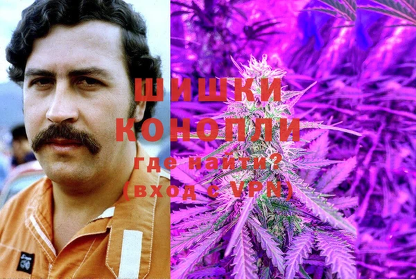 шишки Инта