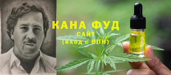 шишки Инта