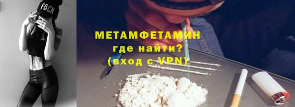 шишки Инта