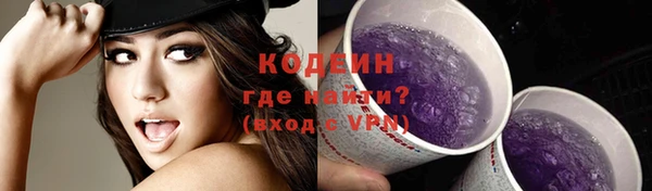 шишки Инта