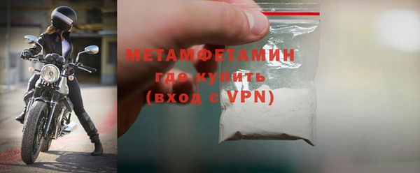 шишки Инта