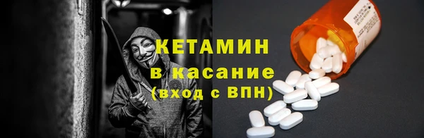 шишки Инта