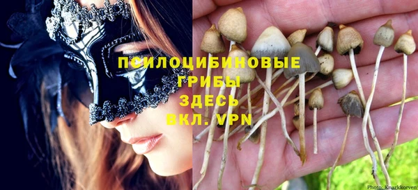 шишки Инта