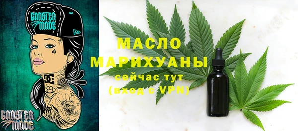 шишки Инта
