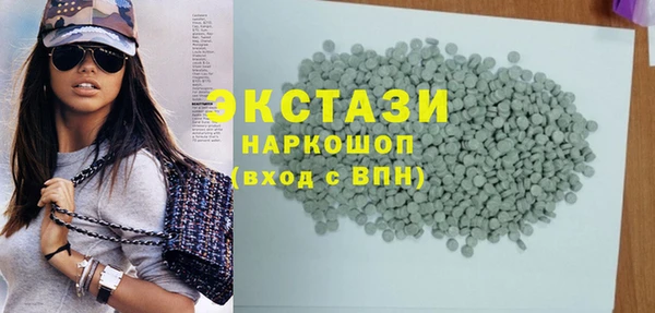 шишки Инта