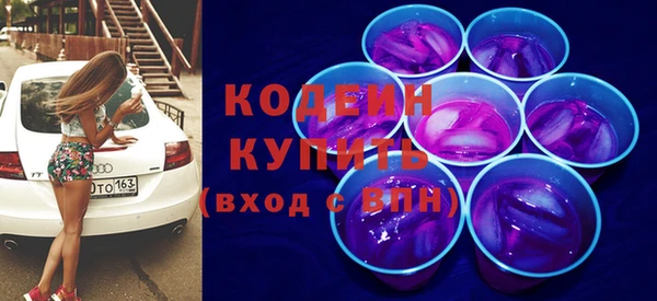 шишки Инта
