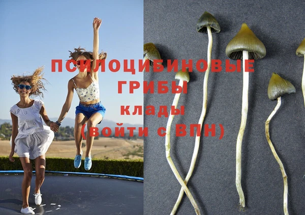 герыч Иннополис
