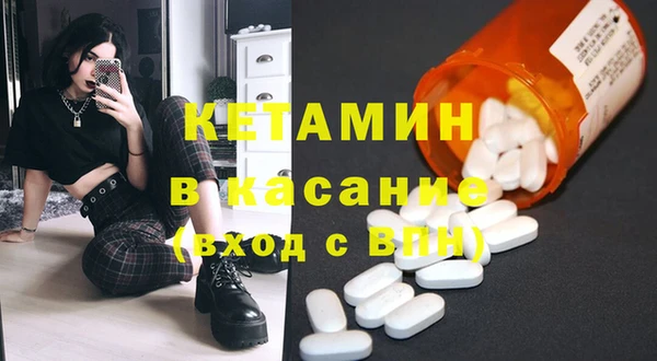 шишки Инта