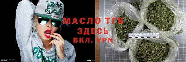 шишки Инта